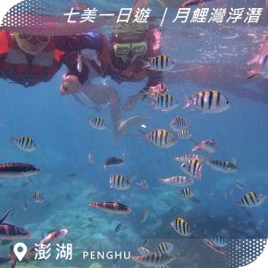 澎湖限定｜七美一日遊｜月鯉灣浮潛