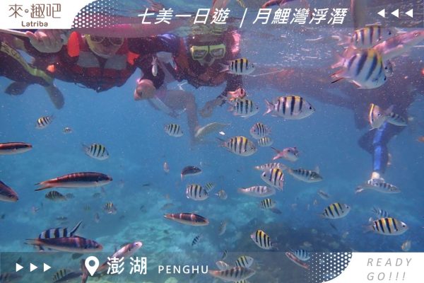 澎湖限定｜七美一日遊｜月鯉灣浮潛